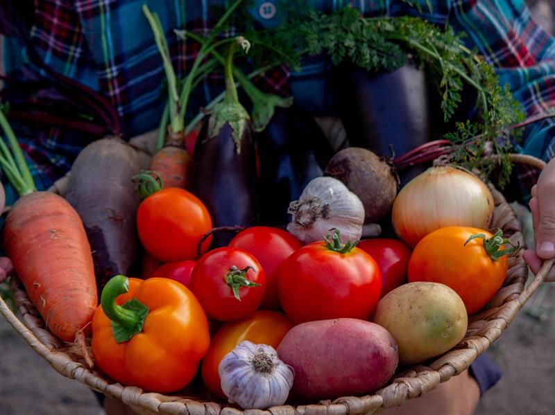 Vegetables