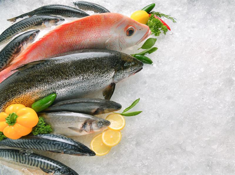 fish